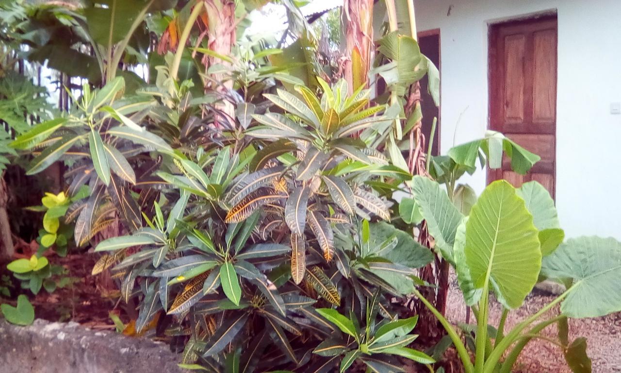 Jambiani Home Stay Exterior foto